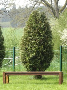 Bank_vor_hecke